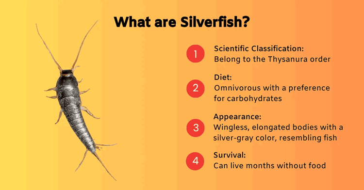 Do led lights attract silverfish?